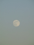 SX27578 Full moon.jpg